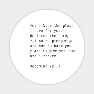 Jeremiah 29:11 Magnet